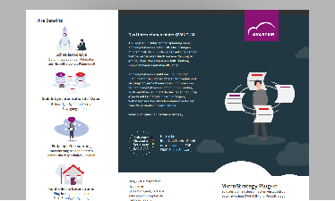 Flyer MicroStrategy Plug-in
